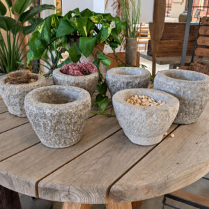 Assorted Stone Orchid Container