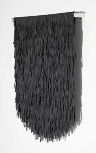 Retrices (Raven)