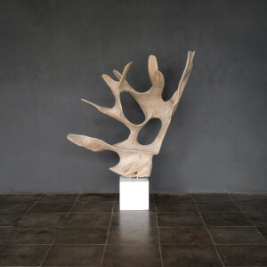 Erosion Teak Scuplture