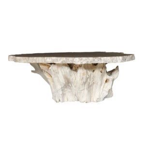 Onyx Table with Teak Root Base