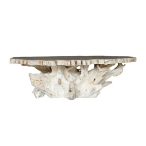 Onyx Table with Teak Root Base