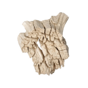 Weathered Eroded Teak Root Form