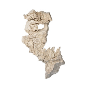 Weathered Eroded Teak Root Form