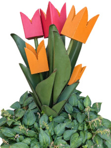 Cactulips Large Cluster - by Bediko